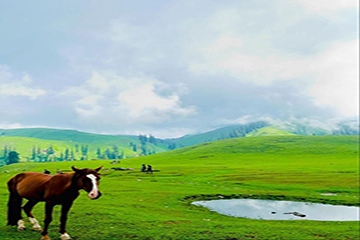 Shogran-Siri paye Meadows